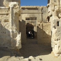Dominic Cummings (@dominic2306) 's Twitter Profile