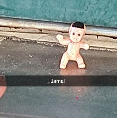 WHERE IN THE WORLD IS JAMAL??
we hide Jamal in places in the US
goodluck finding a wild Jamal ;)