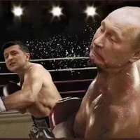 Зеленський (@hql7bamkskpyb1h) 's Twitter Profile
