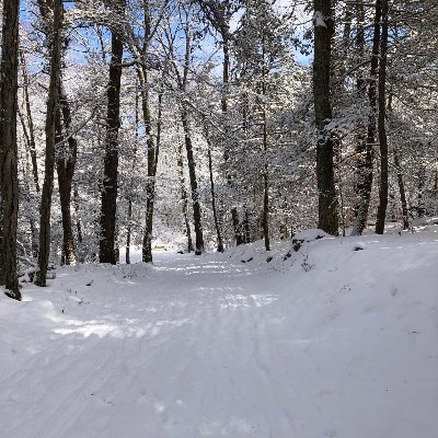 mattschenkel's profile picture. 