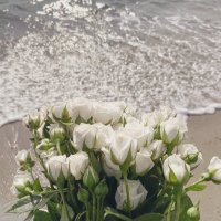 لـجدتي ..ꨄ (@sh_duea) 's Twitter Profile
