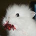 Minutia (@tiny_littledoll) Twitter profile photo Minutia (@tiny_littledoll) Twitter profile photo