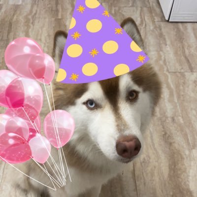 mikaaliyah's profile picture. my girlfriend is better than all of you and i also love attack on titan the end 🧁