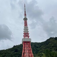 かーひーくま吉 (@kaoa8akykwu3pbr) 's Twitter Profile