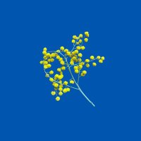 Myriam O (@my_e) 's Twitter Profile Photo Myriam O (@my_e) 's Twitter Profile Photo