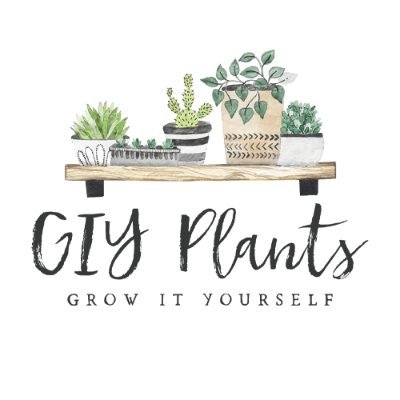 GIY Plants is a team of gardening enthusiasts covering topics for beginners as well as seasoned gardeners. https://t.co/tgdrbO2mD0