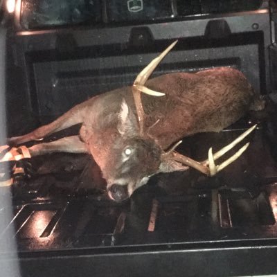 Have a love of the U.P. Hunting, Fishing, and Hard Work. Of course Hard Work is Last, but without it can’t have the first Three. Never Stop Learning New Things!