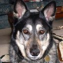 George Box - @george_box - Twitter