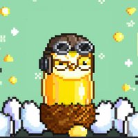 SpadL.eth (@gavinspadl) 's Twitter Profile
