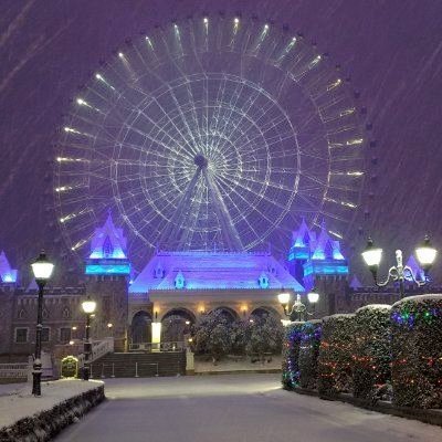 tmhammer15's profile picture. crypto retard $ROSE $LINK