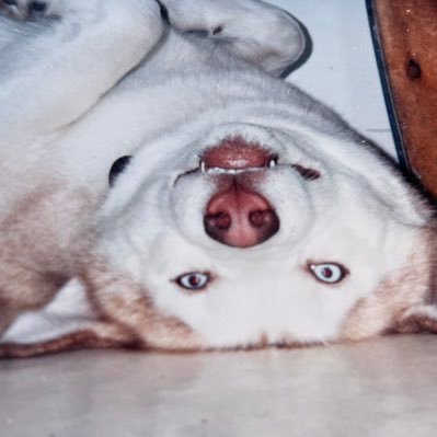 NickKesler77's profile picture. Holding truths to be self evident