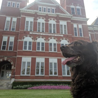 AU_Attorney's profile picture. Attorney | Software Developer | Engineer | Rabid Auburn Fan | Submariner 🏀 🏈