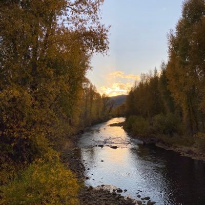 Beepbop43095793's profile picture. #Raidernation