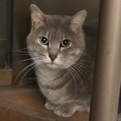 gunlonx's profile picture. 