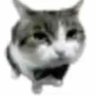 OniichanDaijobu's profile picture. 