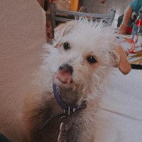 Lulu (@lu_jaz00) 's Twitter Profile