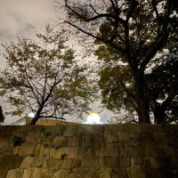 るる婆 (@rrr83280117) 's Twitter Profile