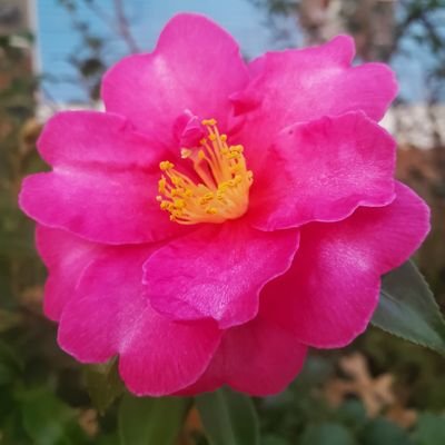 xenon800_'s profile picture. disclaimer i use retweets as reminders.