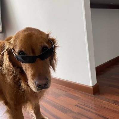 orozco_constain's profile picture. 