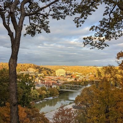 KY801F's profile picture. Just cruising the internet