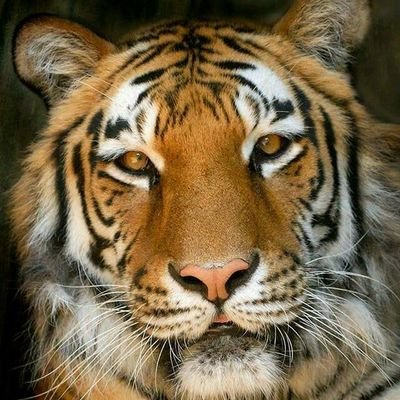 parames1601's profile picture. ฟุตบอล กีฬา ภาพยนตร์ อาหาร หนังสือและวรรณคดี ข่าวทั่วไป สุขภาพ โทรทัศน์ ความบันเทิง