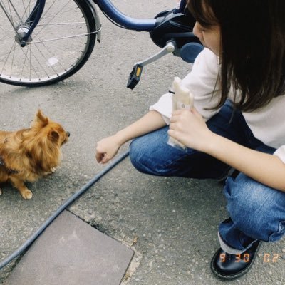 __pesca13's profile picture. あいのちゃん