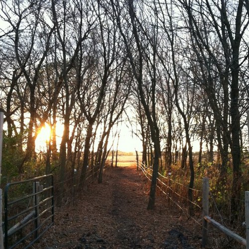 sbhenterprises's profile picture. Spouse, Father, Farmer, Golfer and Pheasant Hunter that produces corn, soybeans & hogs.