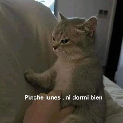 Emirsh3's profile picture. voy a leer tus tweets para hacerte creer que tu opinión importa