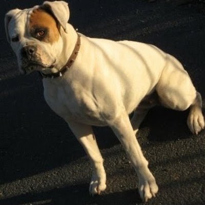 Matthew88680273's profile picture. 