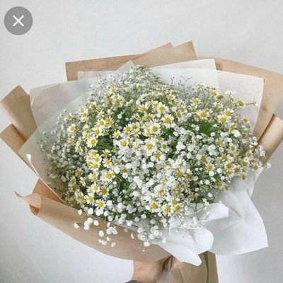 akusuka_matcha's profile picture. 