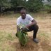 Jolly MULOWAYI (@jolly_mulowayi) Twitter profile photo Jolly MULOWAYI (@jolly_mulowayi) Twitter profile photo