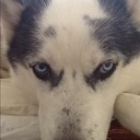 Kim Beal - @kabeal - Twitter