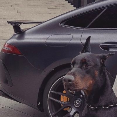 miheal_Deweal95's profile picture. CarGuy l Inked🩸