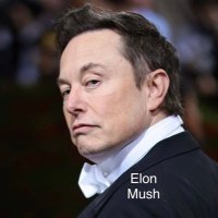 Elon Mush (@vinnie_carbone) 's Twitter Profile