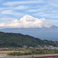 mame shiba (@vitz_816) 's Twitter Profile