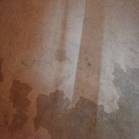 alicalice (@alicalice34) 's Twitter Profile