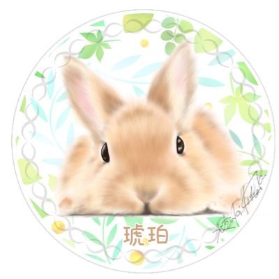 🐰琥珀☘️ 𖥧 𖥧 𖧧 . . യꕤ*.ﾟさんのプロフィール画像