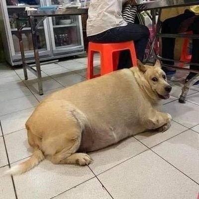 basedsoyboy's profile picture. be normal