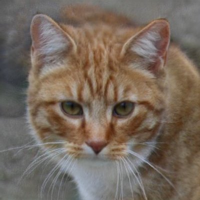 RodelJacqueline's profile picture. 