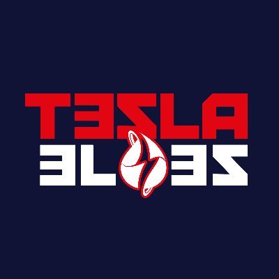 T3SLA3l3S's profile picture. ⚡️🔋🚘 ~ Tesla owner