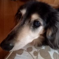 TFB (@cocotfb) 's Twitter Profile