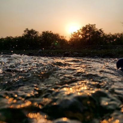 kshitic9's profile picture. Intern