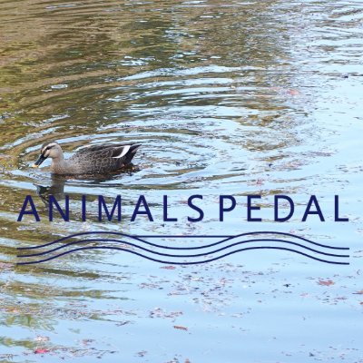 AnimalsPedal Profile Picture