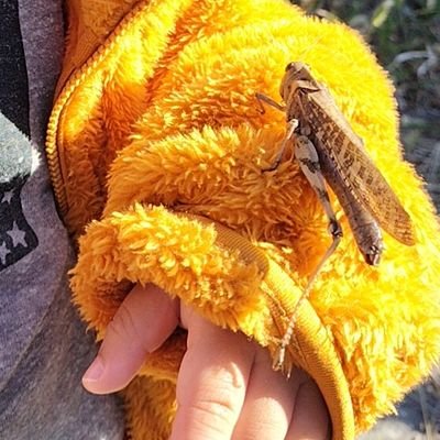 ちゅぷらちゅきさんのプロフィール画像