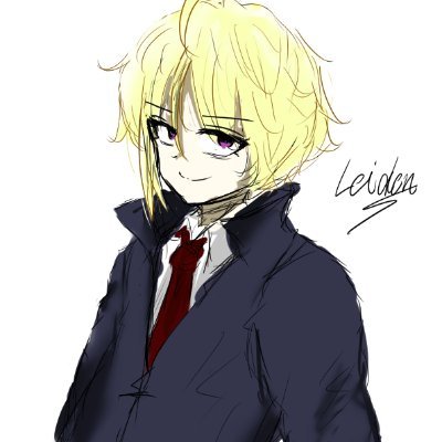 Leiden⚡さんのプロフィール画像