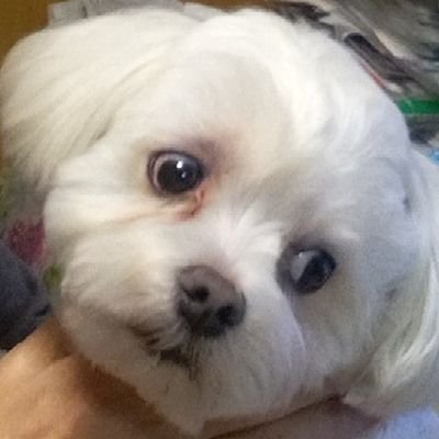ef6XAPiKUL2747v's profile picture. 