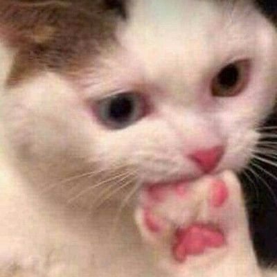 Yuuhriam's profile picture. I hope in the future I'll be able to help you.
She/her 🌱