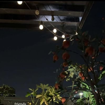 liee790's profile picture. Without god we’re nothing