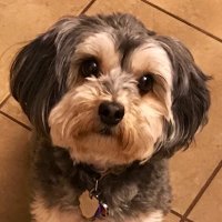 Lawless Brett (@lawless_brett1) 's Twitter Profile Photo