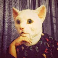ANJI (@viola91162) 's Twitter Profile Photo